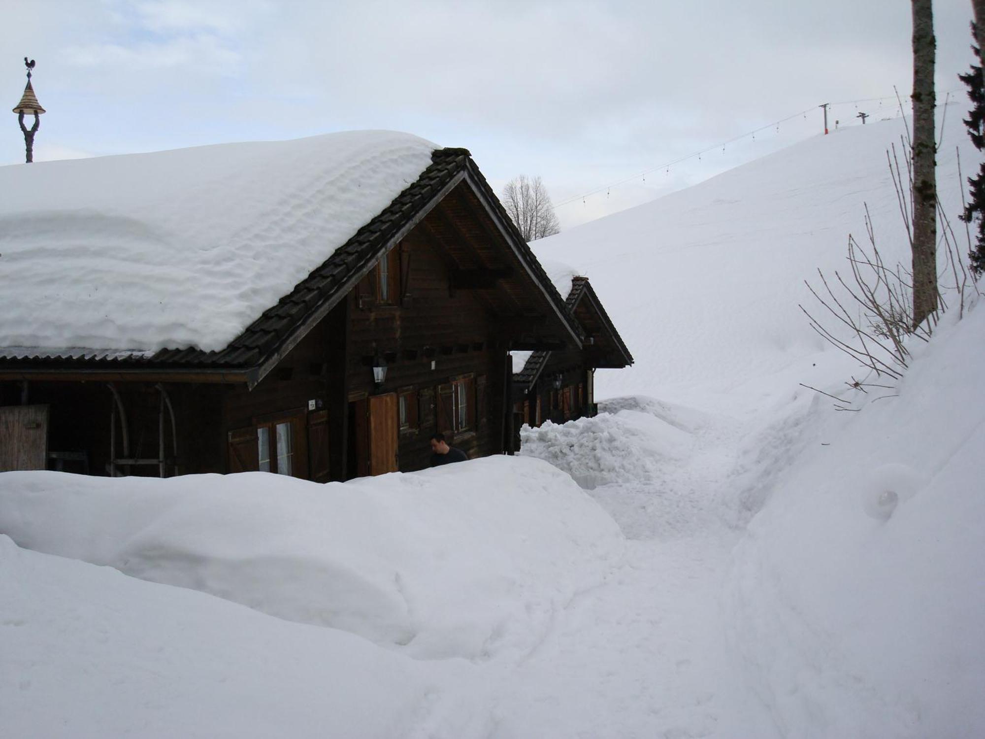 Ferienwohnungen Im Blockhaus Metzler Schwarzenberg im Bregenzerwald Bagian luar foto