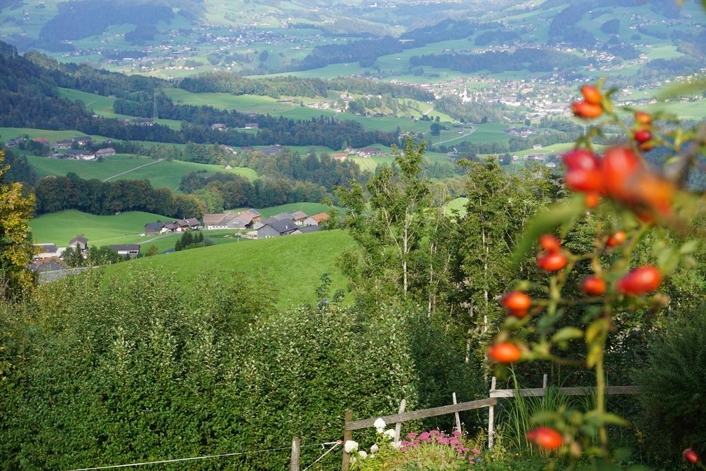 Ferienwohnungen Im Blockhaus Metzler Schwarzenberg im Bregenzerwald Bagian luar foto