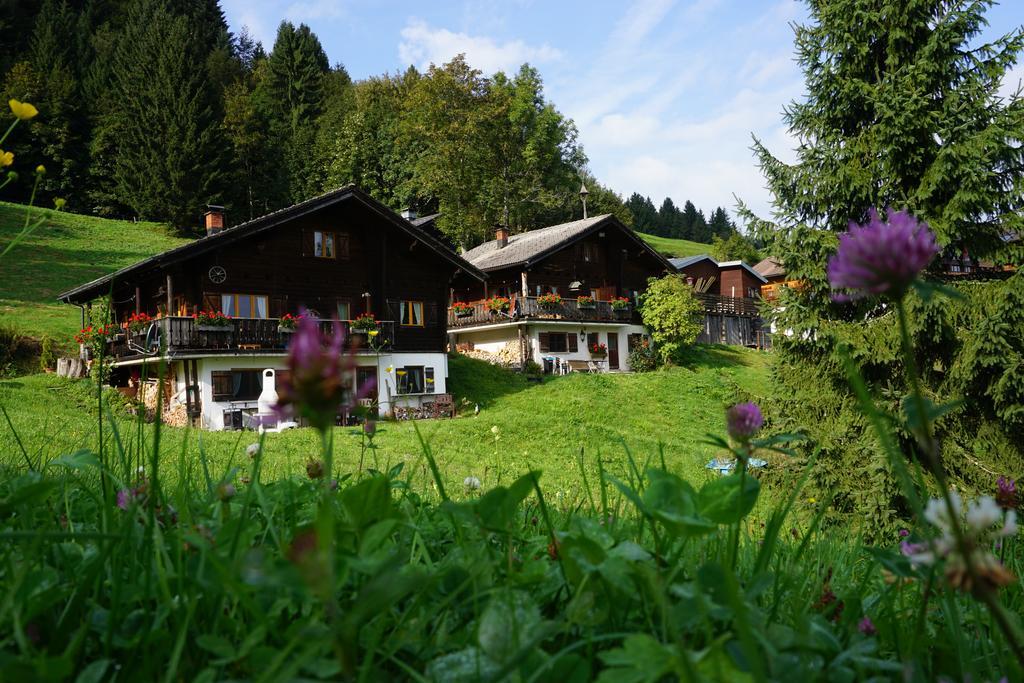 Ferienwohnungen Im Blockhaus Metzler Schwarzenberg im Bregenzerwald Bagian luar foto